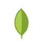MongoDB